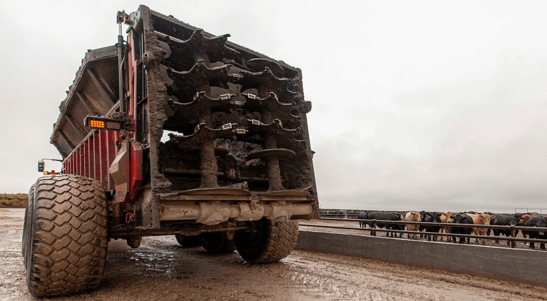 Manure spreader